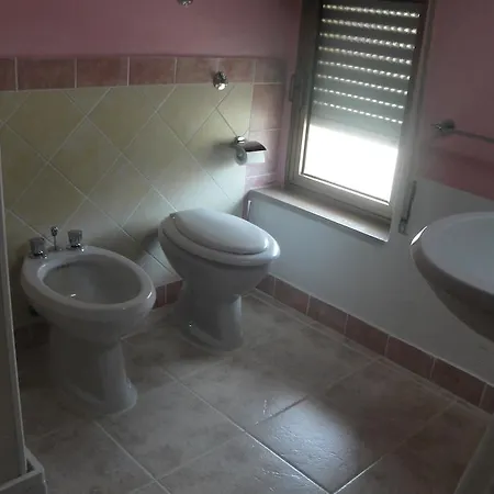 Edera 2*