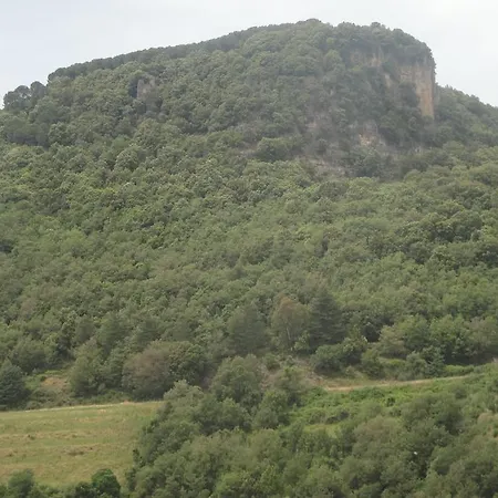 Edera Belvi